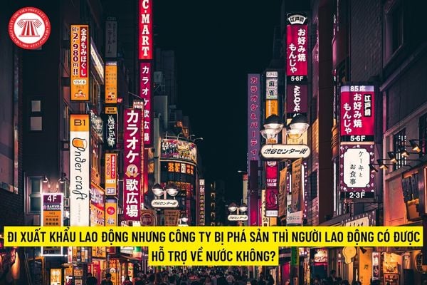 Đi xuất khẩu lao động nhưng công ty bị phá sản thì người lao động có được hỗ trợ về nước không?