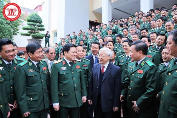 Pháp luật