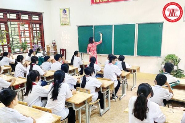 Pháp luật