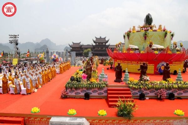 Pháp luật