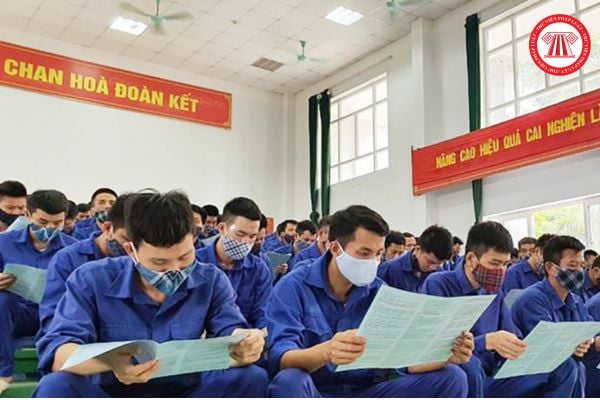 Pháp luật