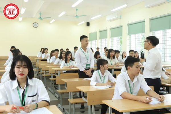 Pháp luật