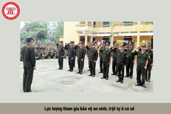 Pháp luật
