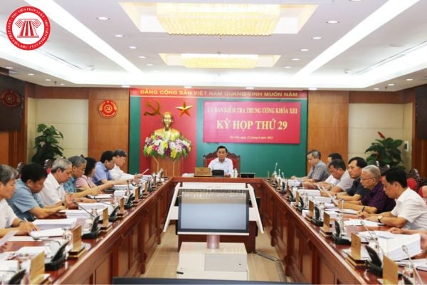 Pháp luật