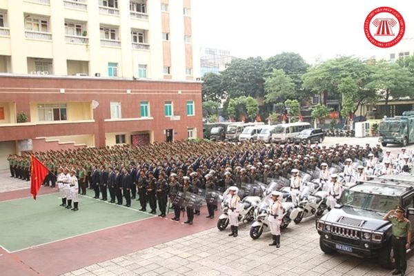 Pháp luật