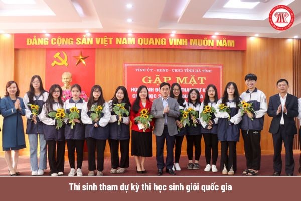 Pháp luật