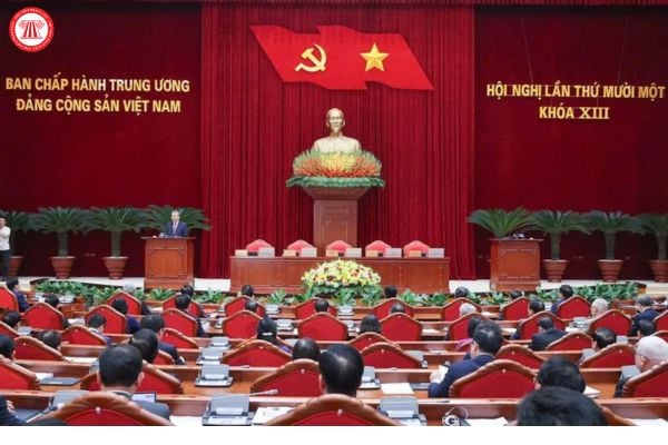 Pháp luật