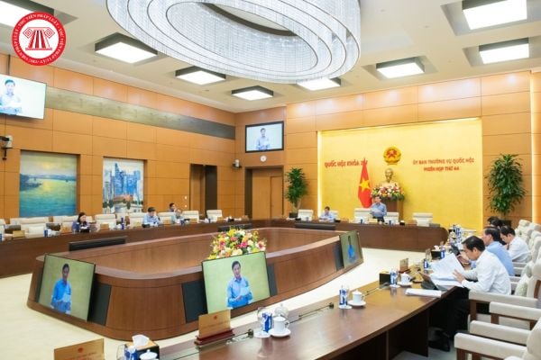 Pháp luật