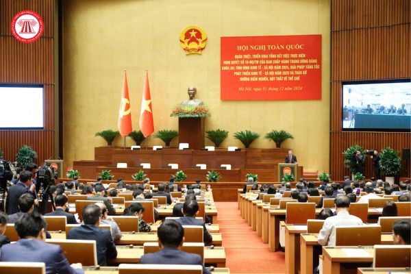 Pháp luật