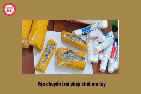 Pháp luật