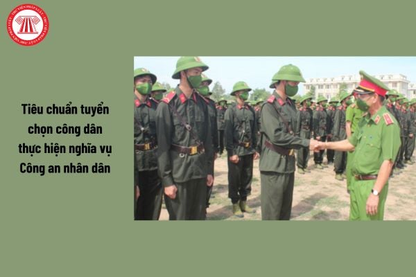 Pháp luật