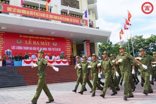 Pháp luật