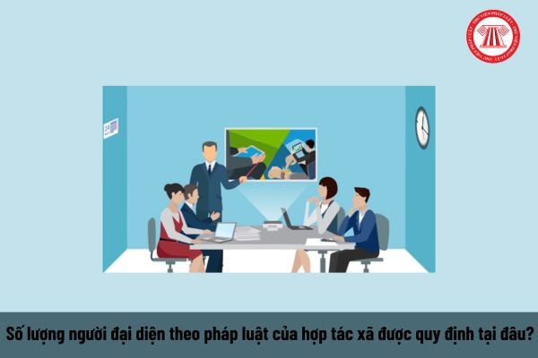 Pháp luật