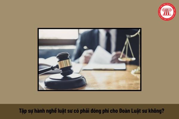 Pháp luật