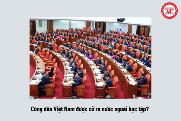 Pháp luật