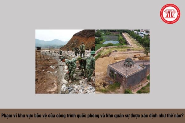 Pháp luật
