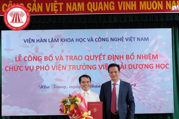 Cấp phó