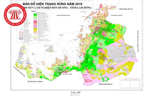 Bản đồ điều chỉnh rừng: Với bản đồ điều chỉnh rừng tiên tiến, chúng ta có thể đánh giá và quản lý các khu rừng một cách chính xác hơn. Bản đồ sẽ giúp định vị các vùng rừng bị tàn phá và có thể khôi phục lại môi trường tự nhiên một cách hiệu quả.