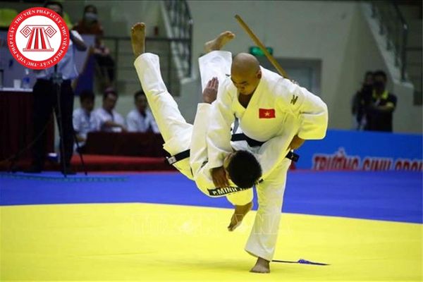 Môn judo