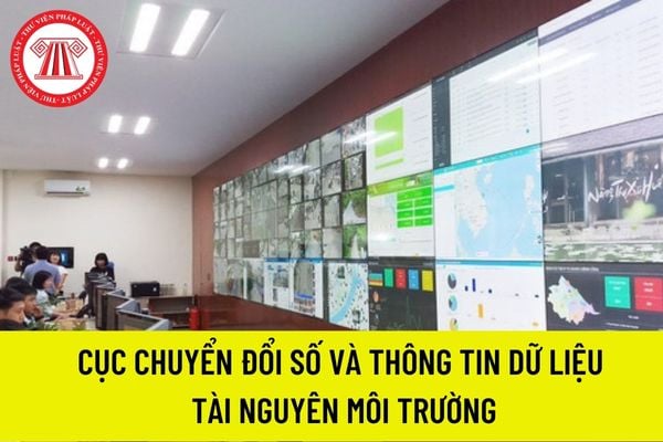 cục chuyển đổi số