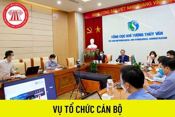 vụ tổ chức 2