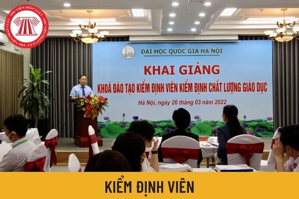 kiểm định viên 2