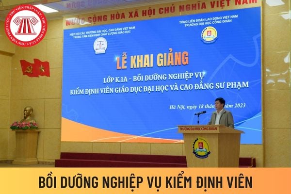 KIỂM ĐỊNH VIÊN 3 