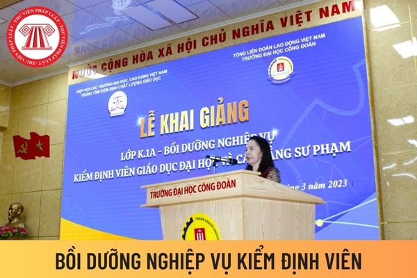 kiểm định viên 4