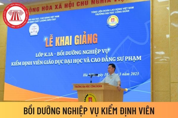 kiểm định viên 5