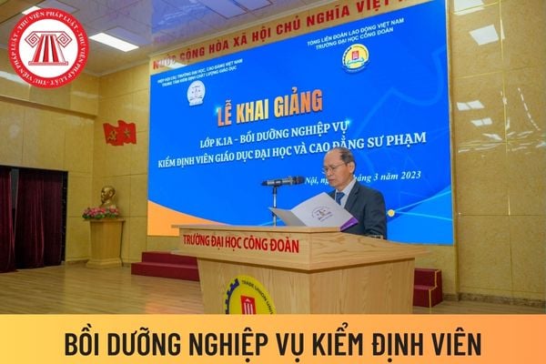 KIỂM ĐỊNH VIÊN 6