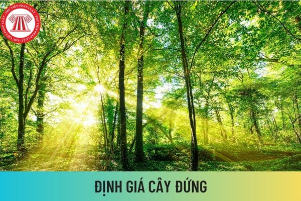 Để định giá cây đứng, xác định tổng trữ lượng gỗ cho khu rừng, xác định ...