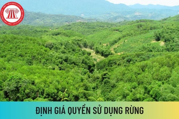 định giá