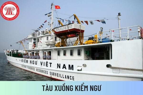 tàu xuồng 2