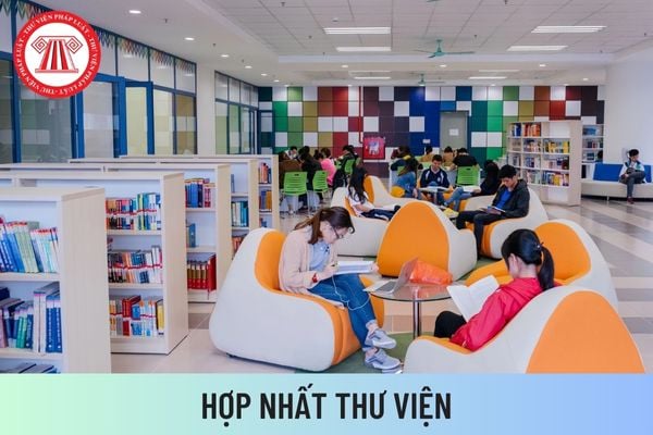 thư viện 3