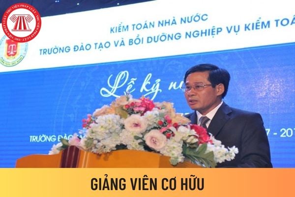 giảng viên