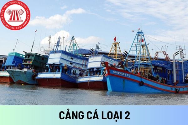 cảng cá loại 2