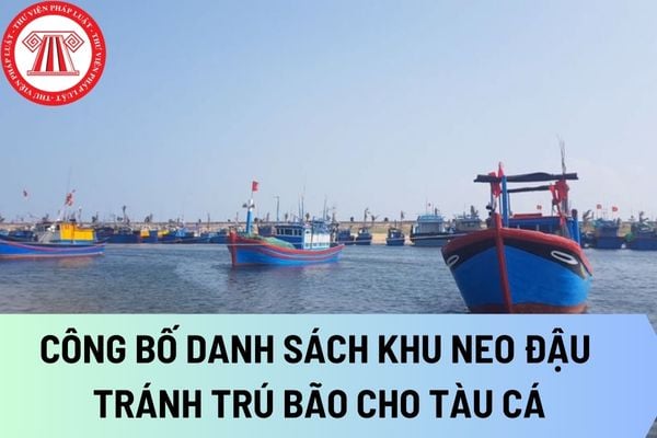 công bố