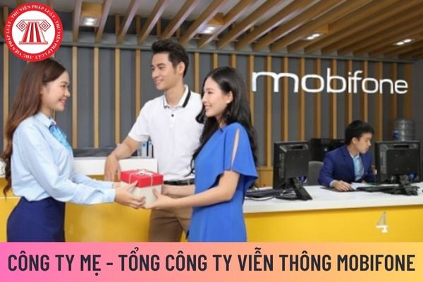 công ty mẹ 07