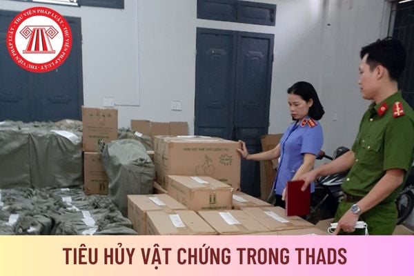 vật chứng 08