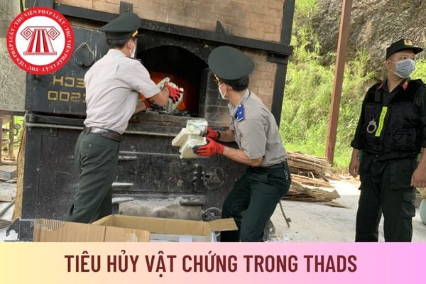 vật chứng 10