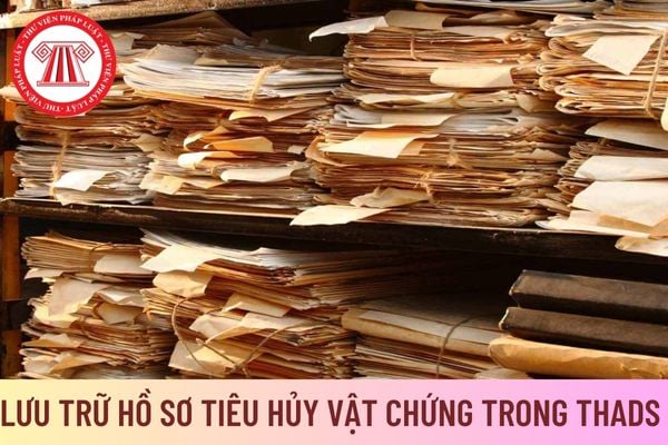 Vật chứng 11