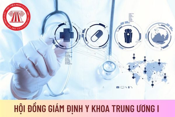 hội đồng giám định