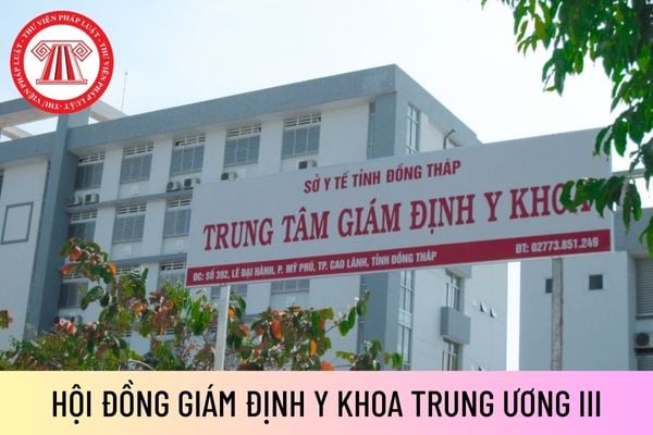 hội đồng 01