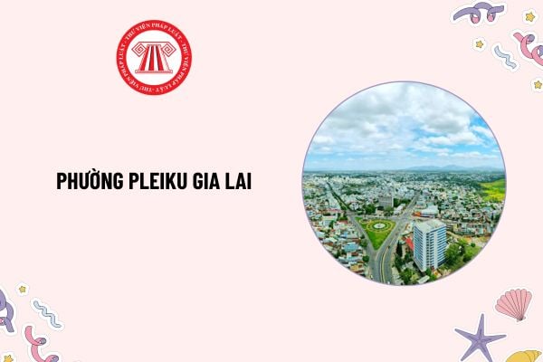 Pháp luật