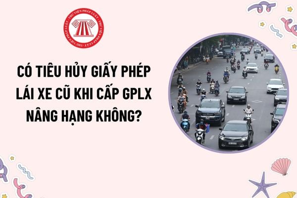 Pháp luật