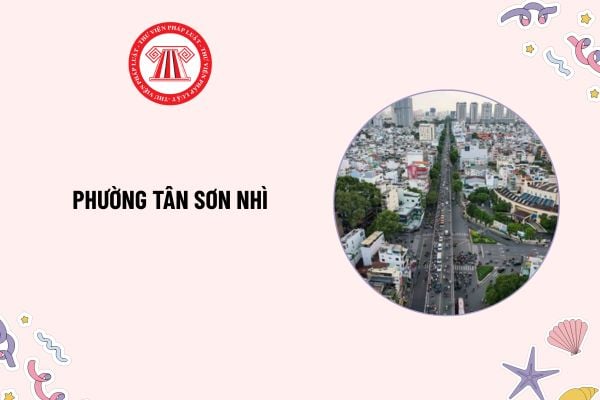 Pháp luật