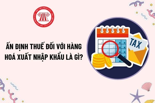 Ấn định thuế đối với hàng hoá xuất nhập khẩu là gì? Ai có thẩm quyền ấn định thuế đối với hàng hóa xuất nhập khẩu?