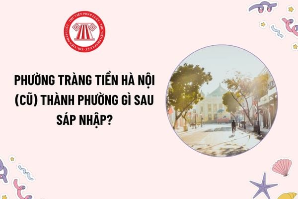 Pháp luật