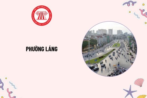 Pháp luật