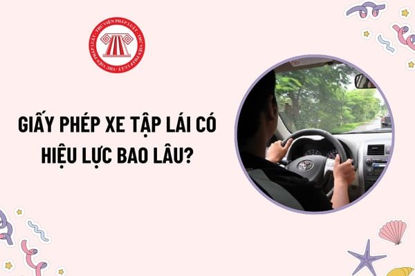 Giấy phép xe tập lái có hiệu lực bao lâu? Giấy phép xe tập lái bị thu hồi trong trường hợp nào?